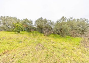 Giardino - Rustico Località Banditaccia, Faleria - foto 50