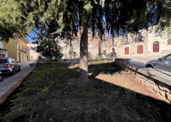 Giardino - Appartamento Via Vittori Emanule
 
37, Castelpagano - foto 17