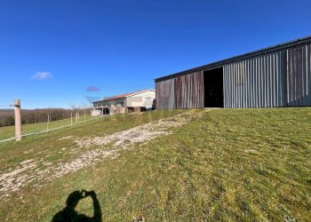 Giardino - Casa indipendente C/da Bufalara
 
12, Castelpagano - foto 33