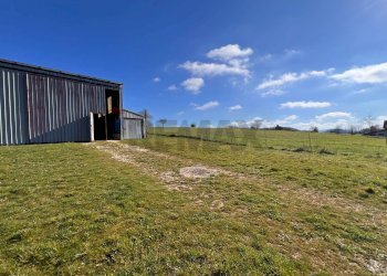 Giardino - Casa indipendente C/da Bufalara
 
12, Castelpagano - foto 34