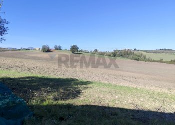 Giardino - Terreno agricolo VIA DEI MERCURI, Benevento - foto 7