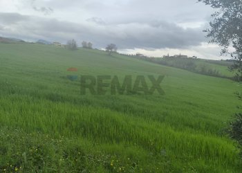 Giardino - Terreno agricolo VIA DEI MERCURI, Benevento - foto 12