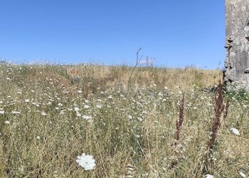 Edificio all\'aperto - Rustico VIA STELLA, Benevento - foto 8