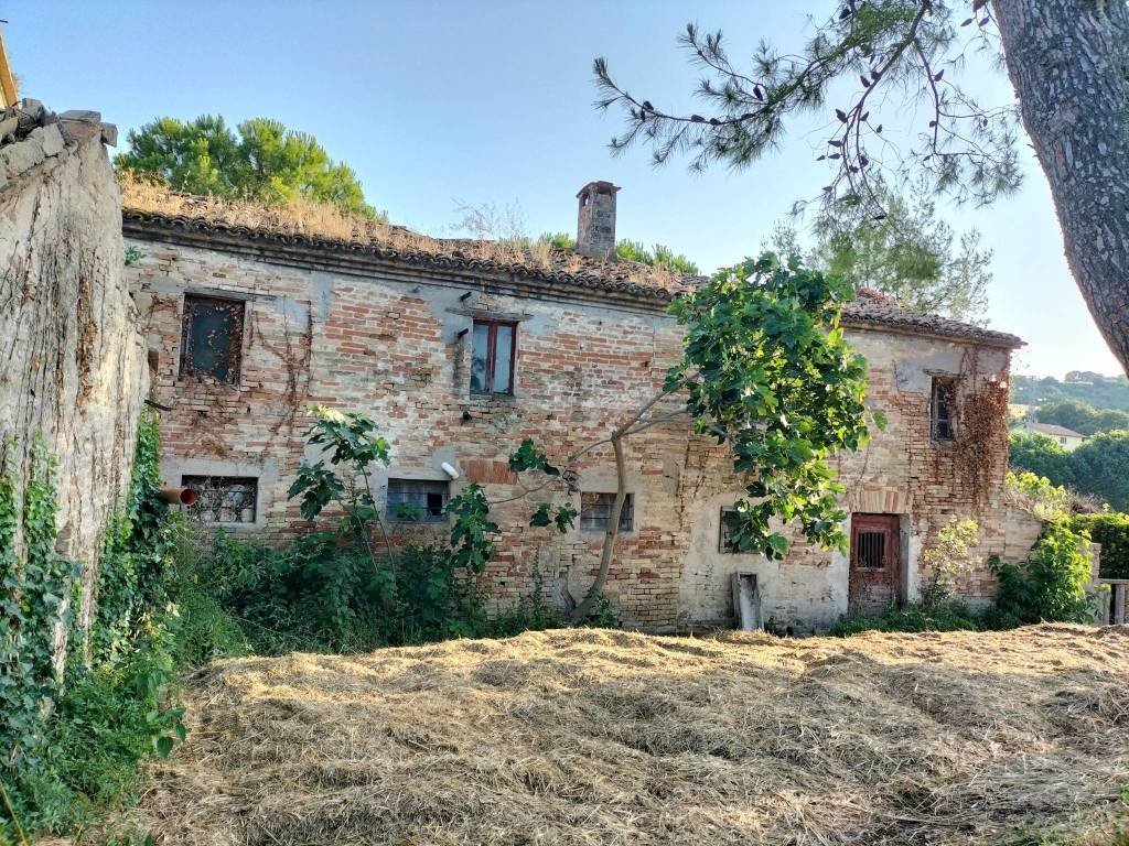 Terreno - Rustico via Colle San Biagio, 13, Osimo - foto 2