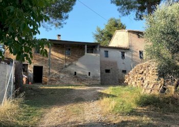 Terreno - Rustico via Colle San Biagio, 13, Osimo - foto 3