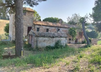 Terreno - Rustico via Colle San Biagio, 13, Osimo - foto 4
