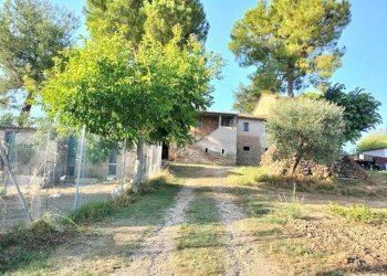 Terreno - Rustico via Colle San Biagio, 13, Osimo - foto 7