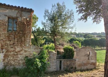 Terreno - Rustico via Colle San Biagio, 13, Osimo - foto 8