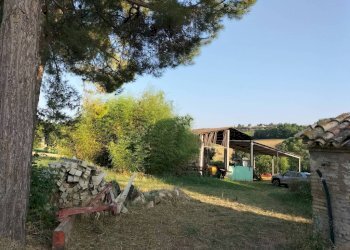 Terreno - Rustico via Colle San Biagio, 13, Osimo - foto 9