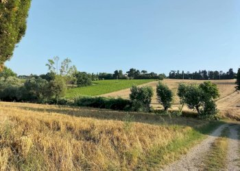 Terreno - Rustico via Colle San Biagio, 13, Osimo - foto 14