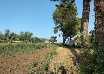 Terreno - Rustico via Colle San Biagio, 13, Osimo - foto 16