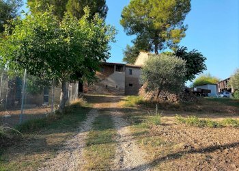 Terreno - Rustico via Colle San Biagio, 13, Osimo - foto 18