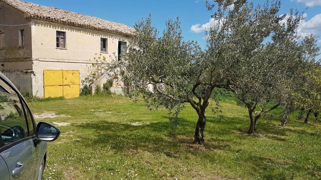 Terreno - Rustic via Mucciolina, 25, Osimo - photo 2