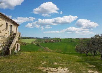 Terreno - Rustico via Mucciolina, 25, Osimo - foto 11