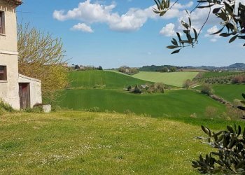 Terreno - Rustico via Mucciolina, 25, Osimo - foto 12
