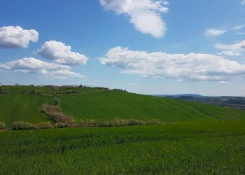 Terreno - Rustico via Mucciolina, 25, Osimo - foto 15