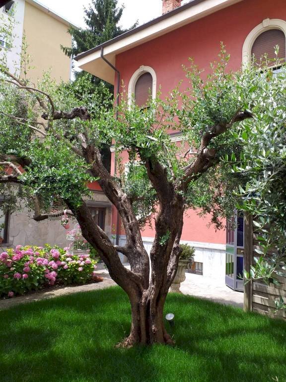 Giardino - Villa Asti - foto 2