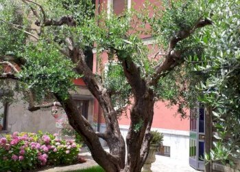 Giardino - Villa Asti - foto 2