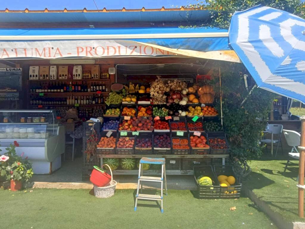 Interno non residenziale - Terreno agricolo Portoferraio - foto 2