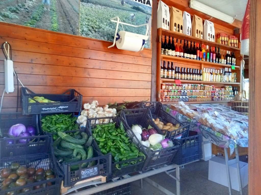 Giardino - Terreno agricolo Portoferraio - foto 3