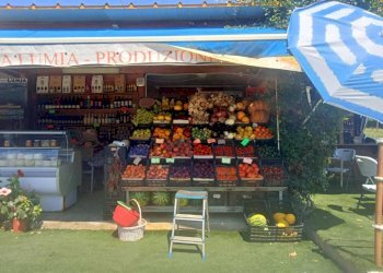 Interno non residenziale - Terreno agricolo Portoferraio - foto 2