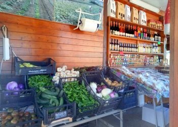 Giardino - Terreno agricolo Portoferraio - foto 3