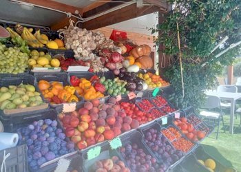 Interno non residenziale - Terreno agricolo Portoferraio - foto 4