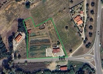 Mappa - Terreno agricolo Portoferraio - foto 13