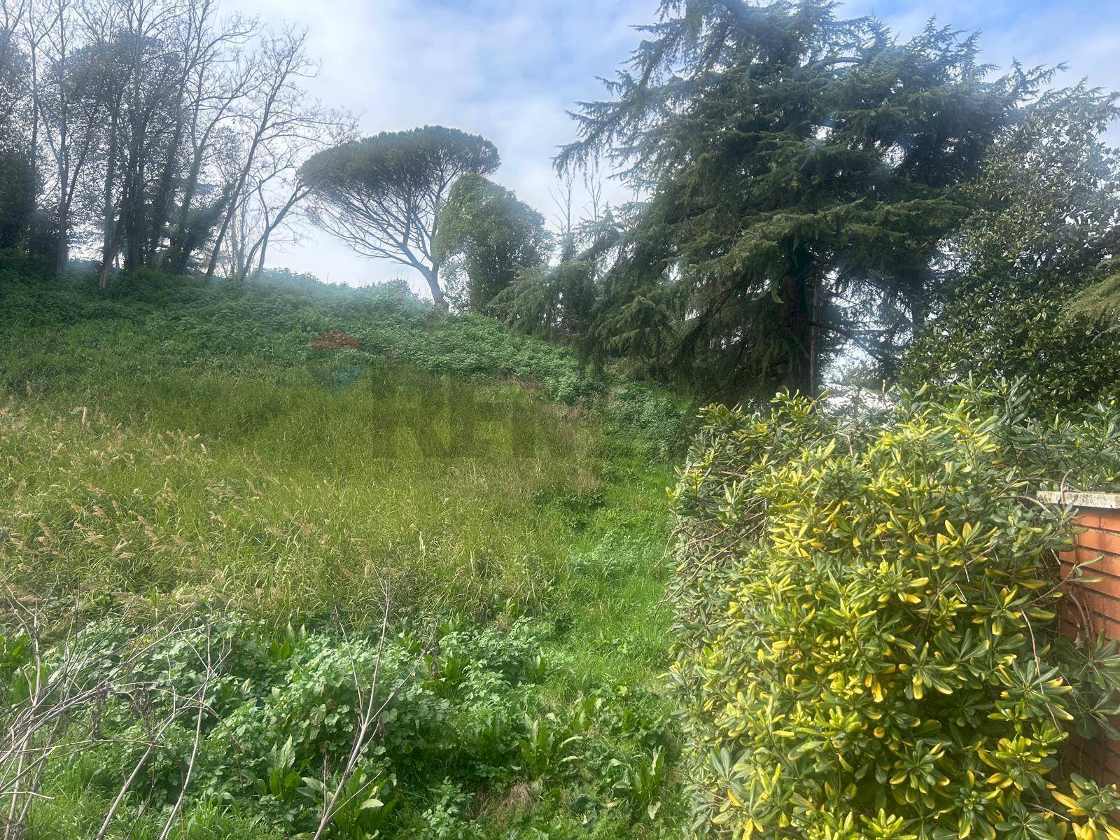 Giardino - Terreno edificabile Salita Di Castel Giubileo
2, Roma - foto 2