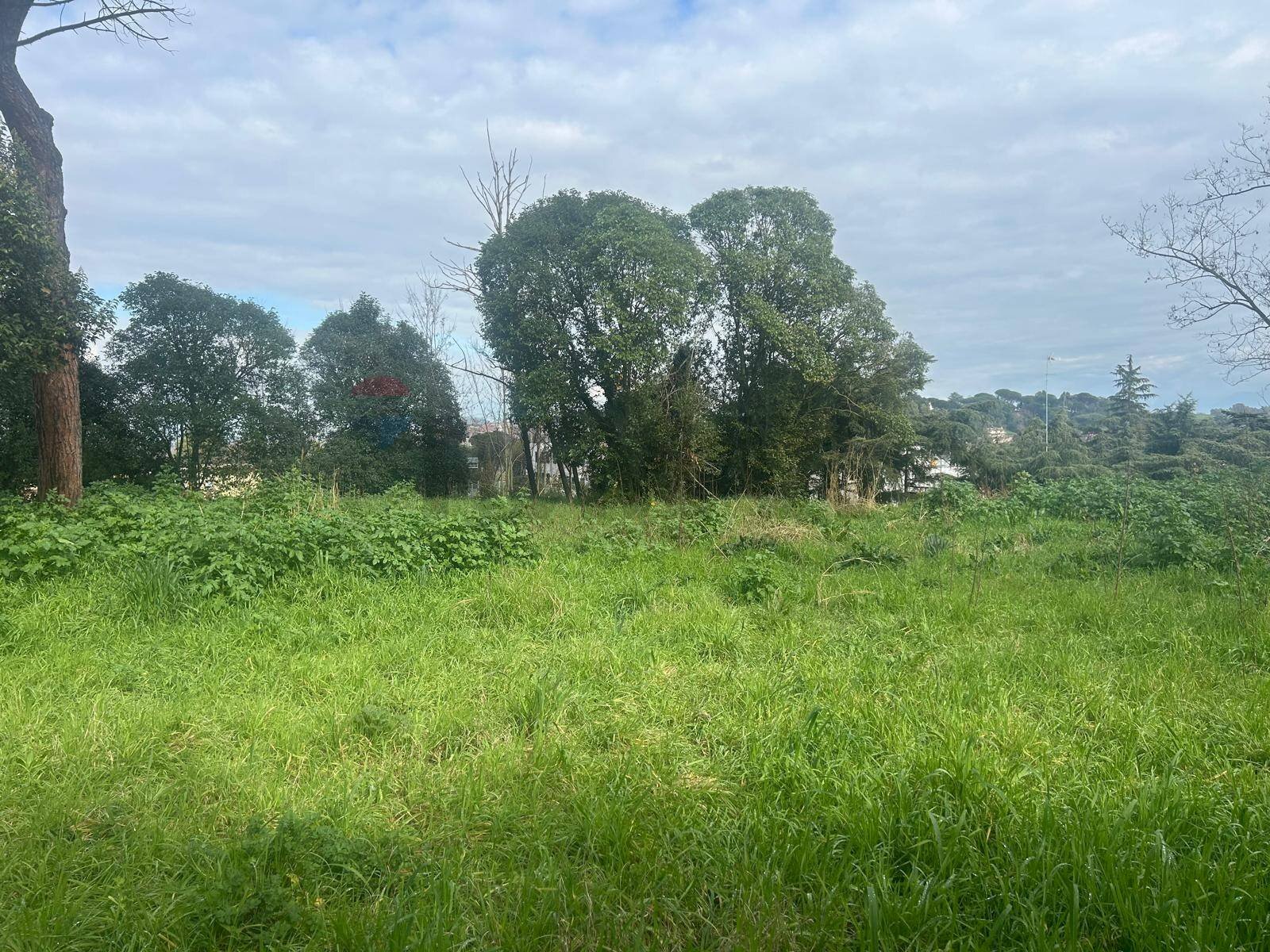 Giardino - Terreno edificabile Salita Di Castel Giubileo
2, Roma - foto 3