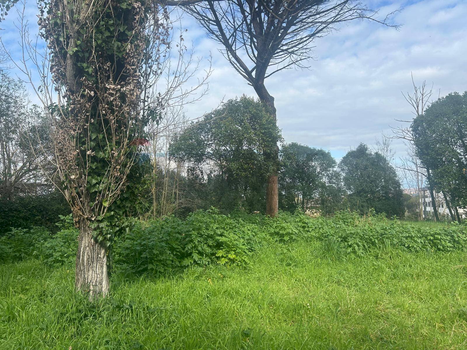 Giardino - Terreno edificabile Salita Di Castel Giubileo
 
2, Roma - foto 1