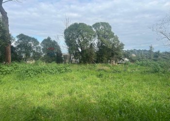 Giardino - Terreno edificabile Salita Di Castel Giubileo
 
2, Roma - foto 3