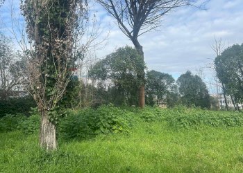 Giardino - Terreno edificabile Salita Di Castel Giubileo
 
2, Roma - foto 4