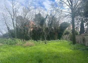Giardino - Terreno edificabile Salita Di Castel Giubileo
 
2, Roma - foto 5