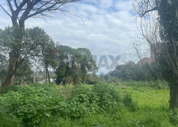 Giardino - Terreno edificabile Salita Di Castel Giubileo
 
2, Roma - foto 6