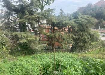 Giardino - Terreno edificabile Salita Di Castel Giubileo
 
2, Roma - foto 7