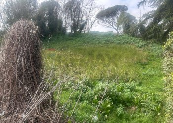 Giardino - Terreno edificabile Salita Di Castel Giubileo
 
2, Roma - foto 8