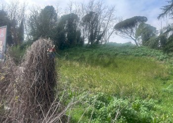 Giardino - Terreno edificabile Salita Di Castel Giubileo
 
2, Roma - foto 9