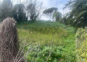Giardino - Terreno edificabile Salita Di Castel Giubileo
 
2, Roma - foto 10