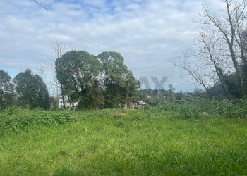 Giardino - Terreno edificabile Salita Di Castel Giubileo
 
2, Roma - foto 11