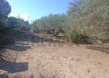 Giardino - Villa contrada morana
 
snc, Chiaramonte Gulfi - foto 28