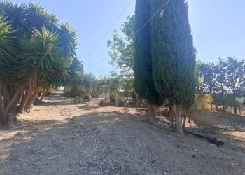 Giardino - Villa contrada morana
 
snc, Chiaramonte Gulfi - foto 29