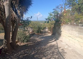 Giardino - Villa contrada morana
 
snc, Chiaramonte Gulfi - foto 30