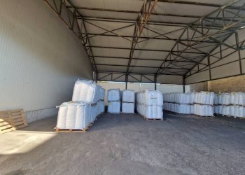 Magazzino - Capannone via Triboniano, Milano (zona Musocco) - foto 20