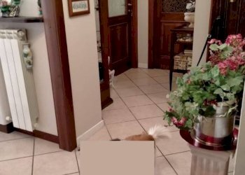 Disimpegno - Appartamento corso Francia, 12A, Cuneo (zona Donatello) - foto 6