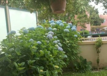 Balcone - Appartamento corso Francia, 12A, Cuneo (zona Donatello) - foto 16