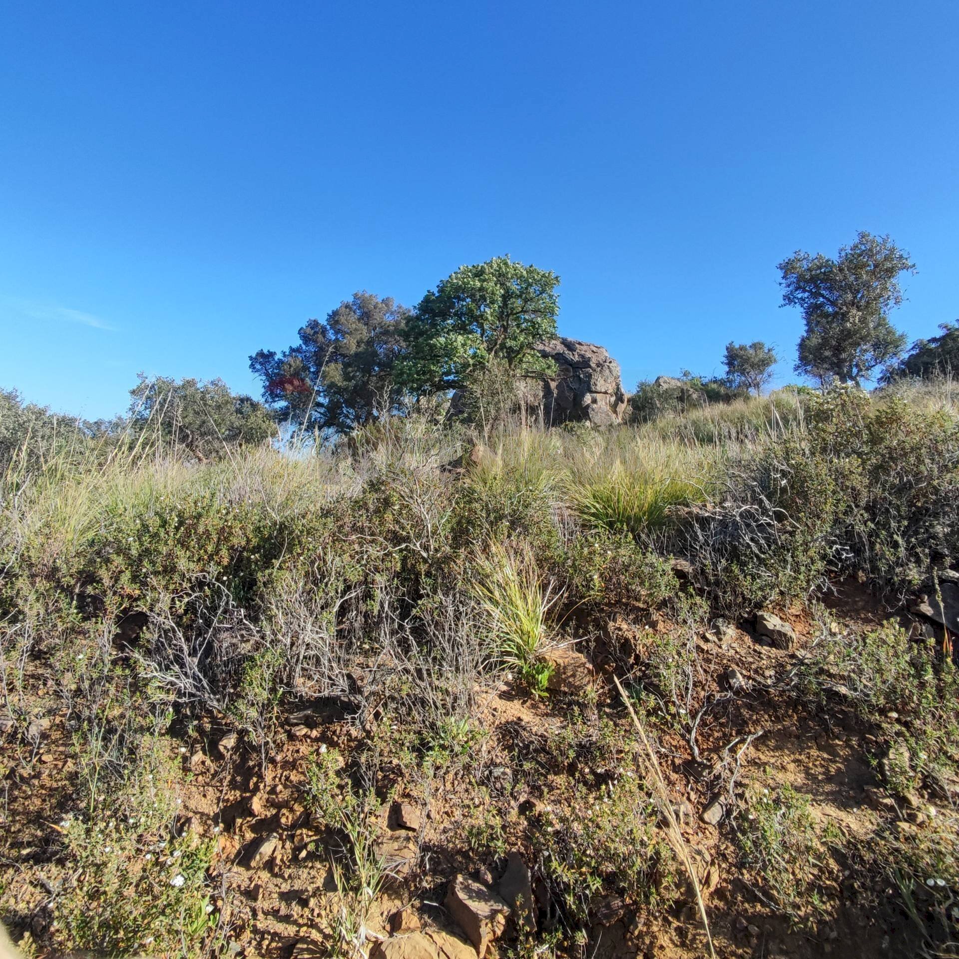 Vista delle montagne - Terreno edificabile Bolognetta - foto 3
