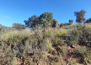 Vista delle montagne - Terreno edificabile Bolognetta - foto 3