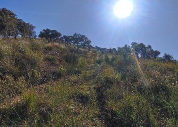 Vista delle montagne - Terreno edificabile Bolognetta - foto 5