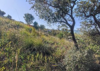 Vista delle montagne - Terreno edificabile Bolognetta - foto 7